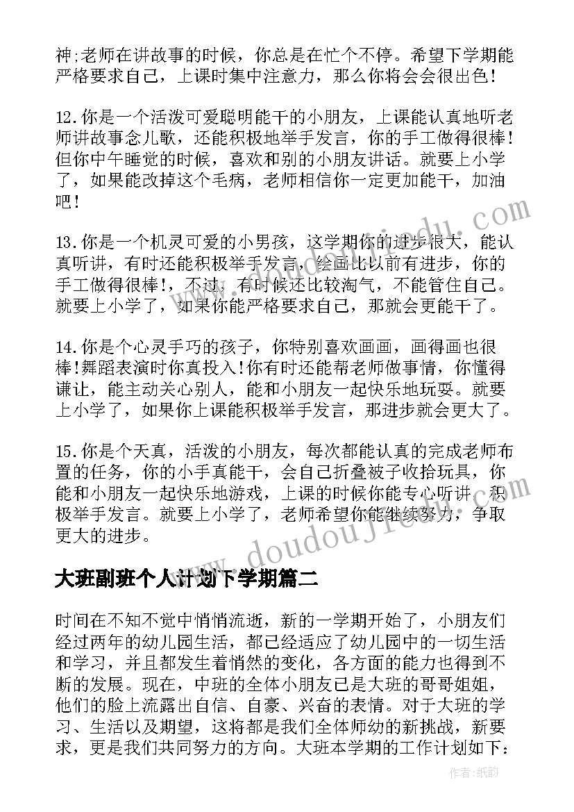 最新大班副班个人计划下学期 幼师个人工作计划大班上学期(精选5篇)