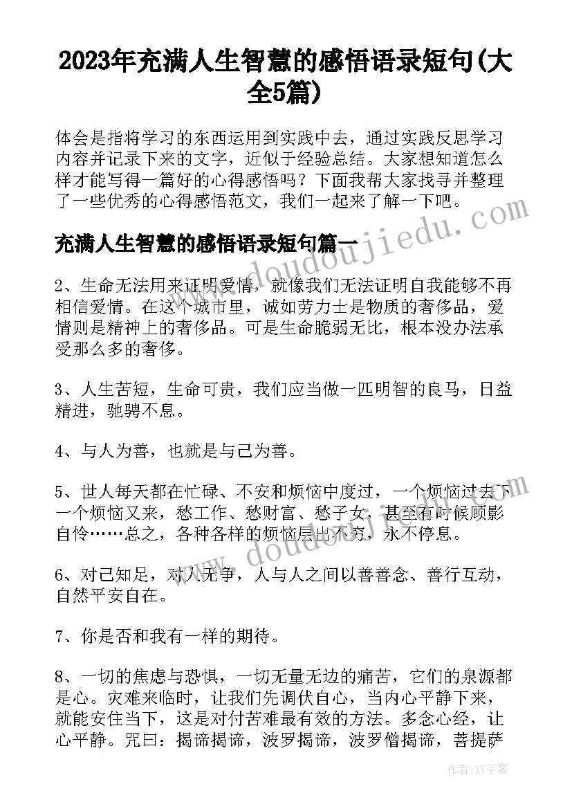 2023年充满人生智慧的感悟语录短句(大全5篇)