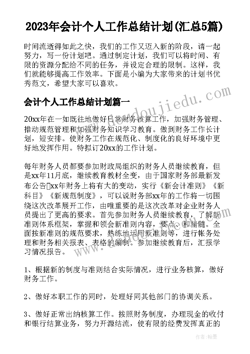 2023年会计个人工作总结计划(汇总5篇)