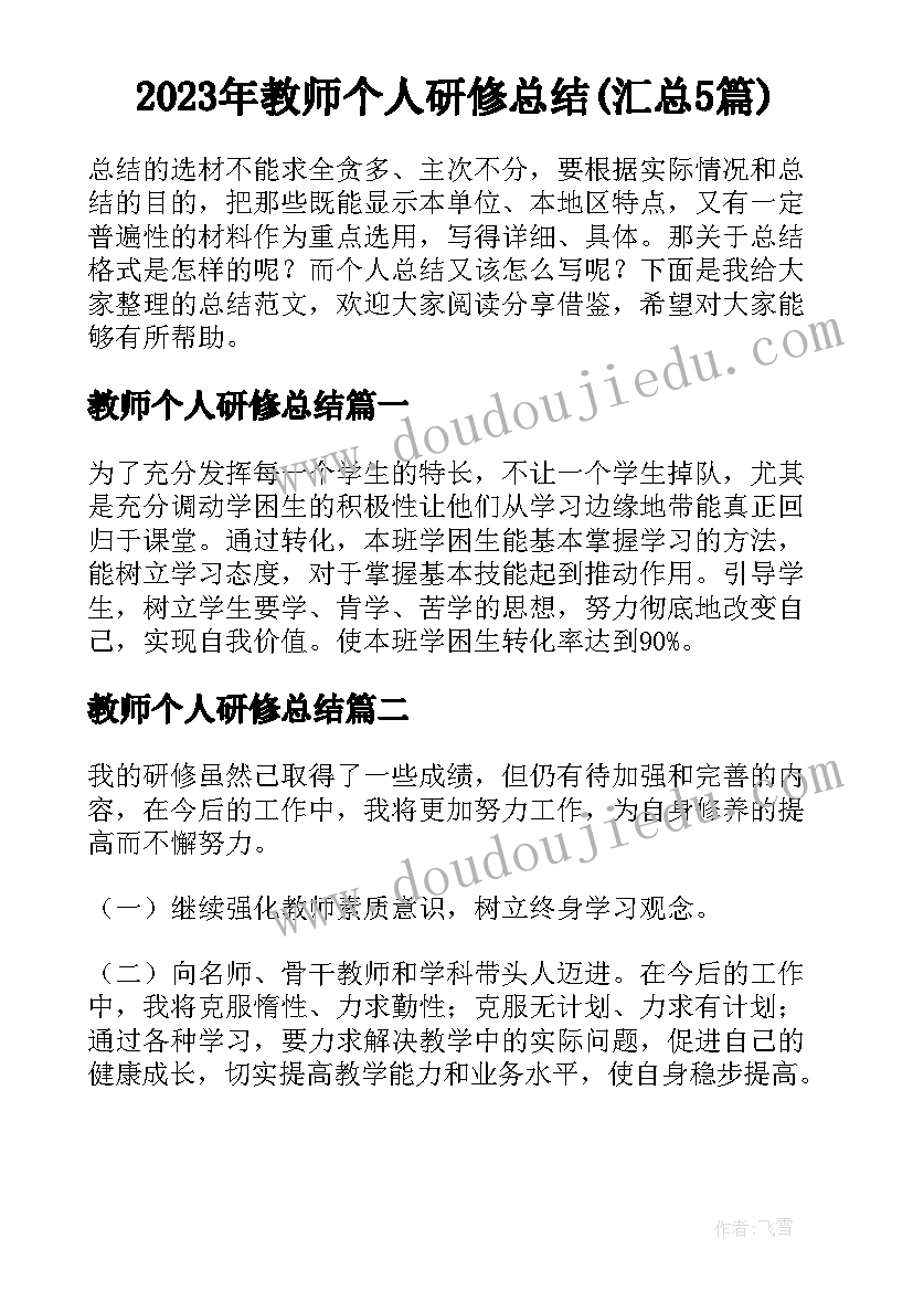 2023年教师个人研修总结(汇总5篇)