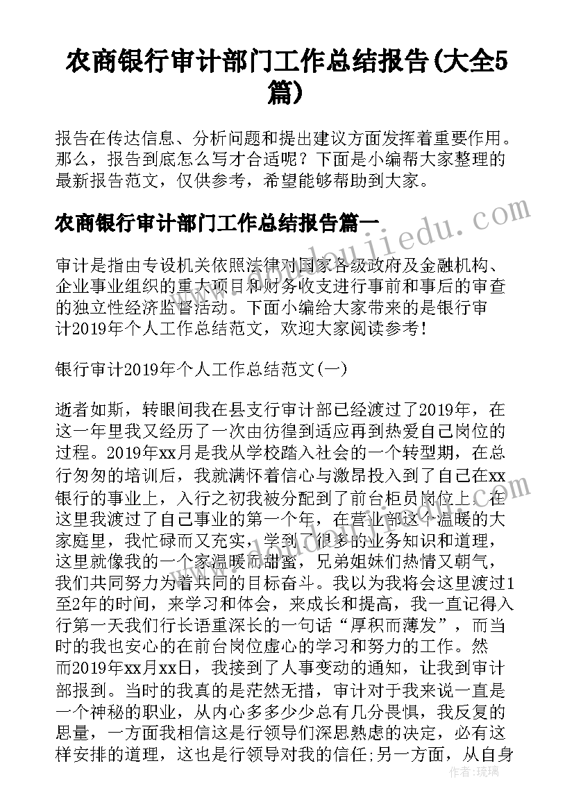 农商银行审计部门工作总结报告(大全5篇)