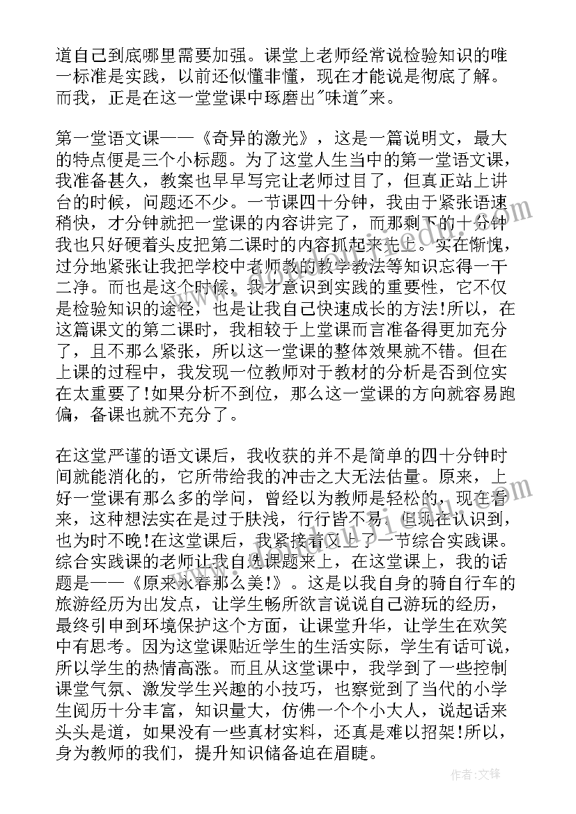 最新大学生教师实践报告(大全8篇)