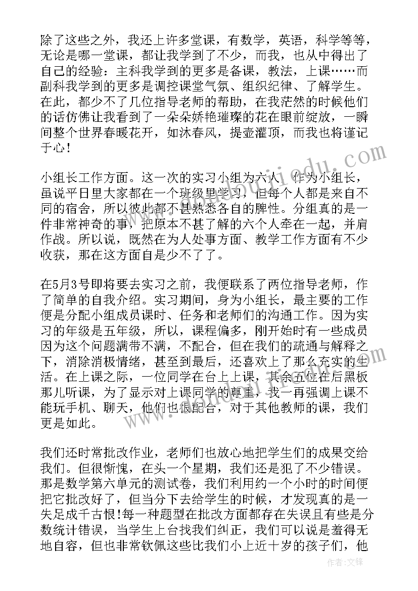 最新大学生教师实践报告(大全8篇)