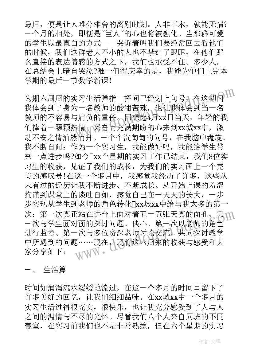 最新大学生教师实践报告(大全8篇)