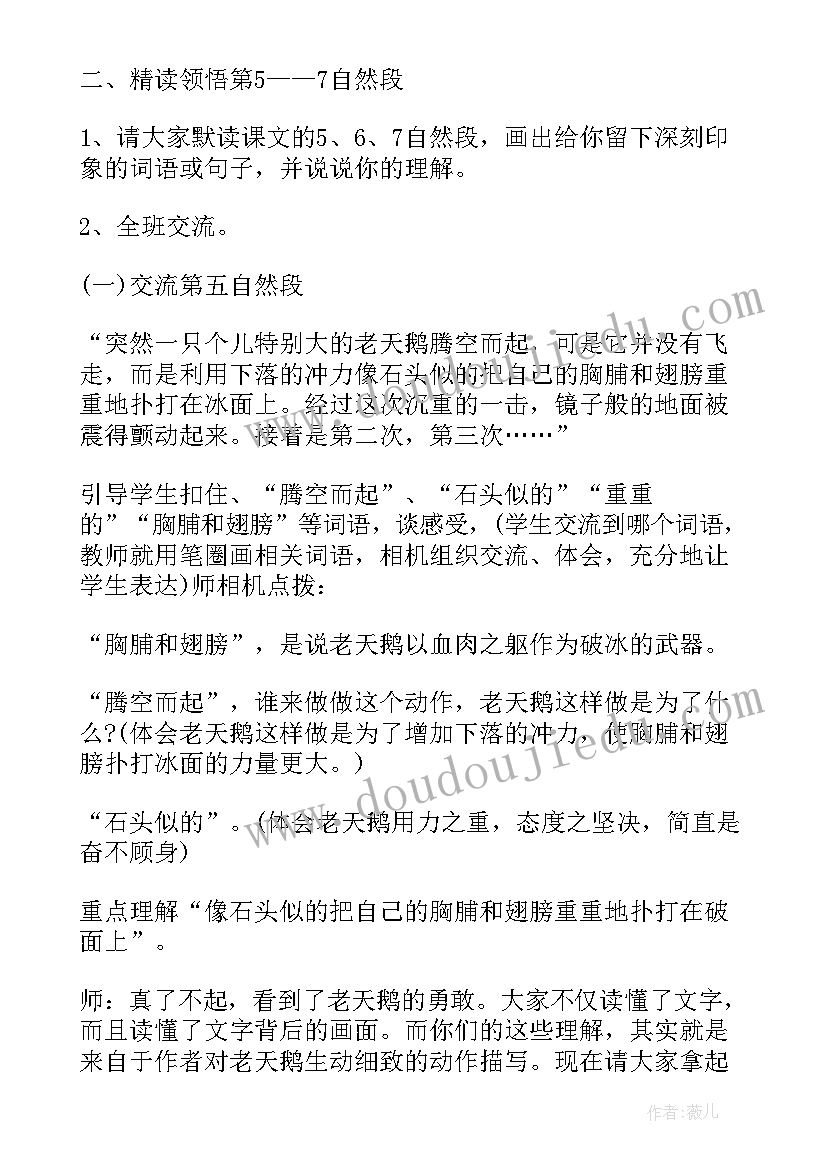 天鹅的故事课文教案(实用5篇)