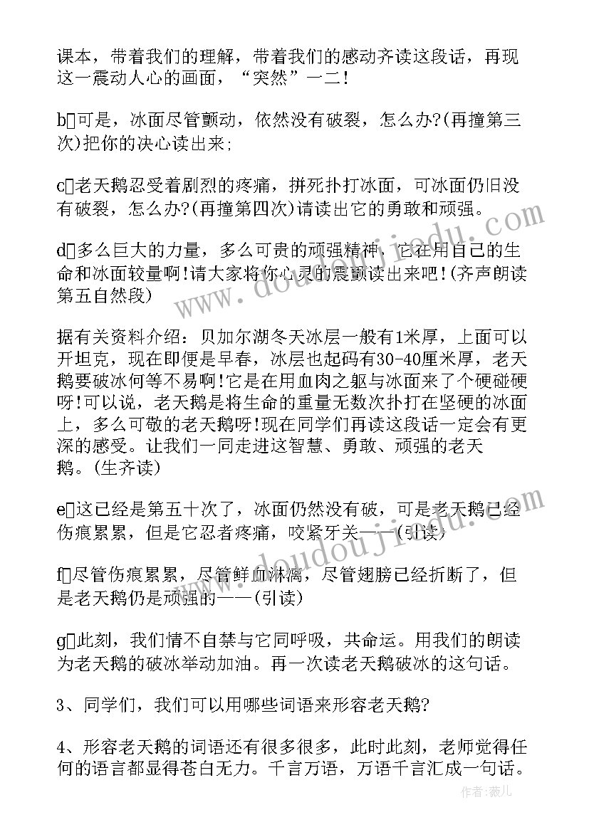 天鹅的故事课文教案(实用5篇)