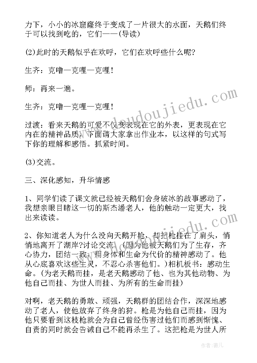 天鹅的故事课文教案(实用5篇)