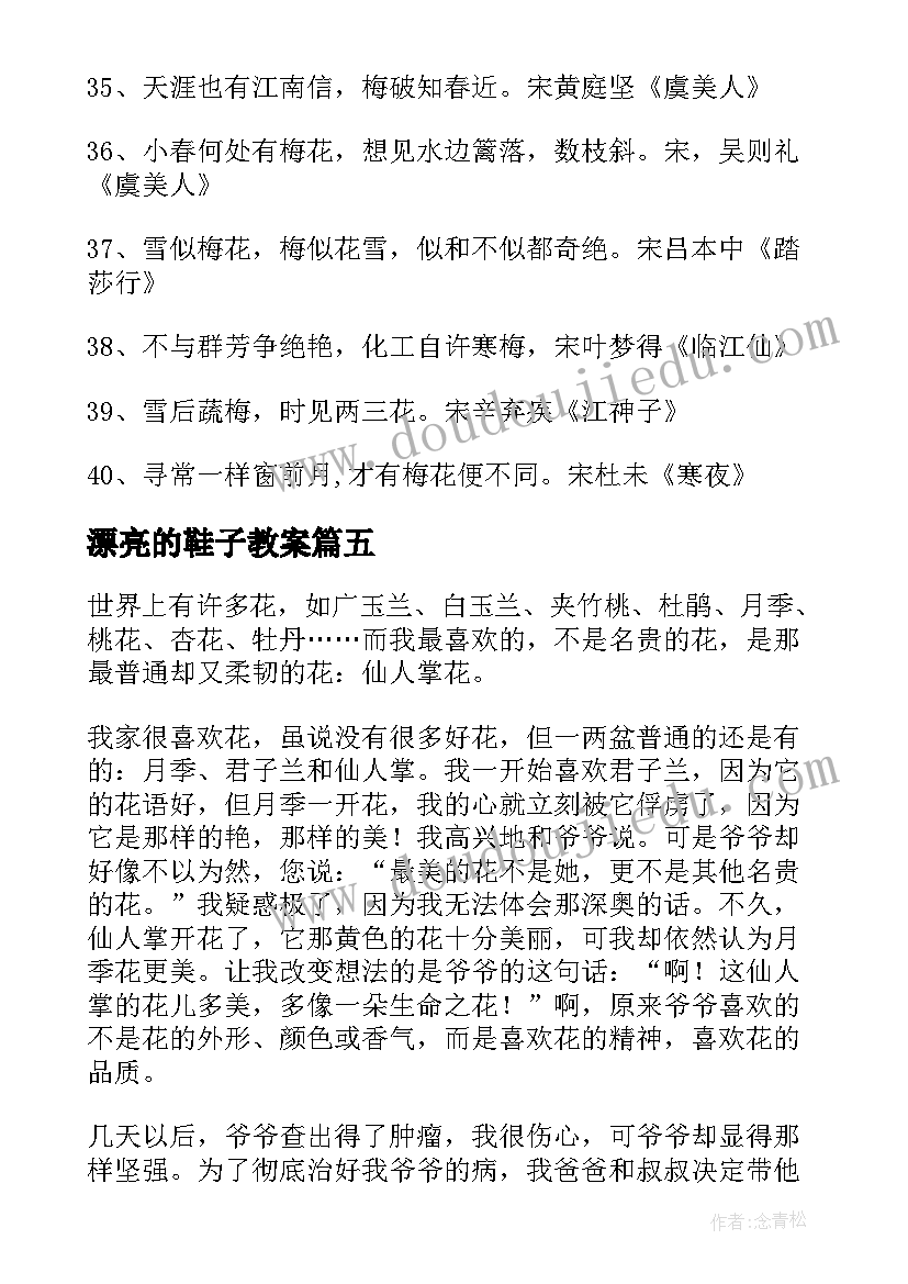 最新漂亮的鞋子教案(模板6篇)