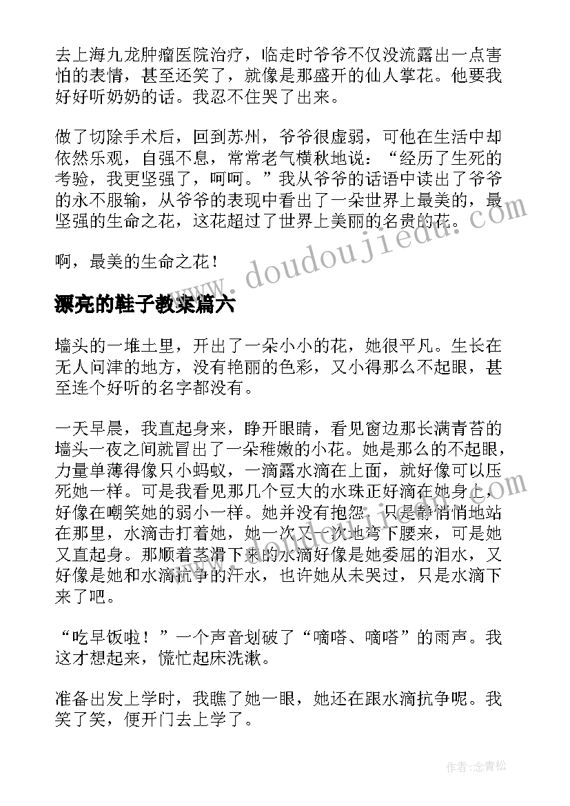 最新漂亮的鞋子教案(模板6篇)