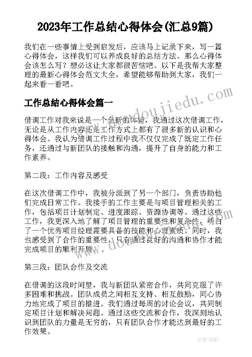 2023年工作总结心得体会(汇总9篇)