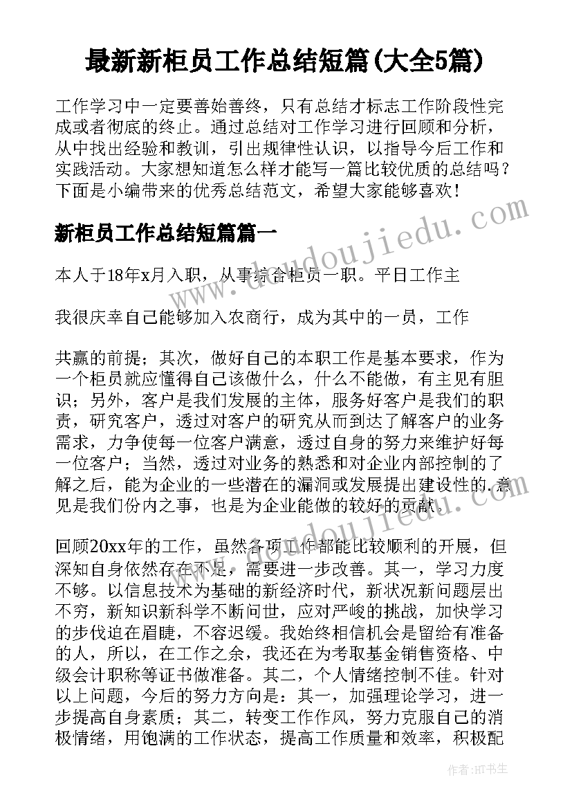 最新新柜员工作总结短篇(大全5篇)