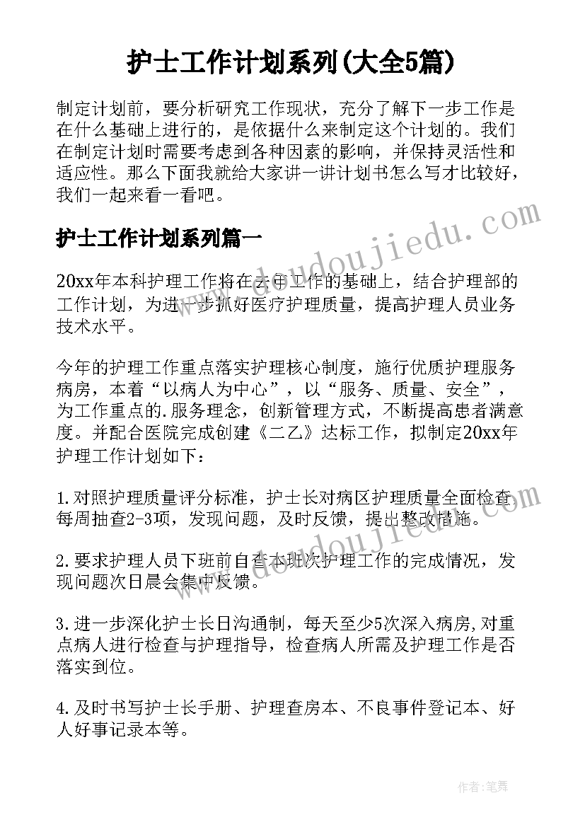 护士工作计划系列(大全5篇)