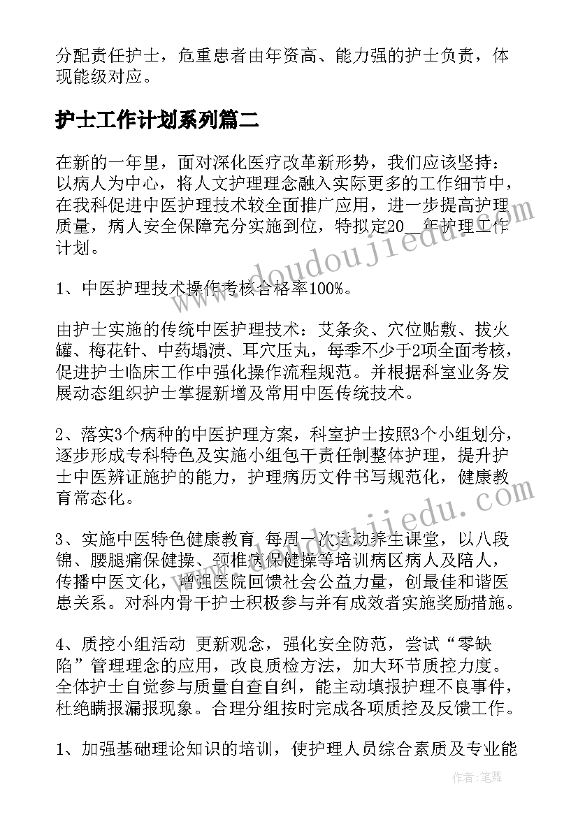 护士工作计划系列(大全5篇)