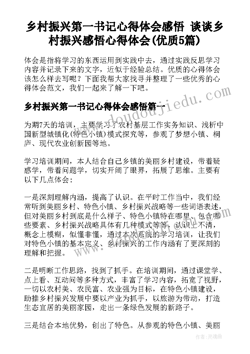 乡村振兴第一书记心得体会感悟 谈谈乡村振兴感悟心得体会(优质5篇)