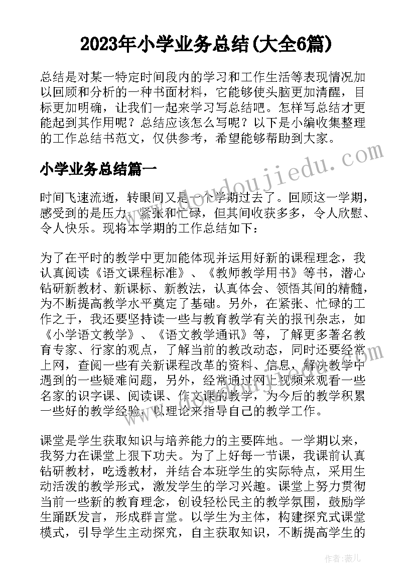 2023年小学业务总结(大全6篇)