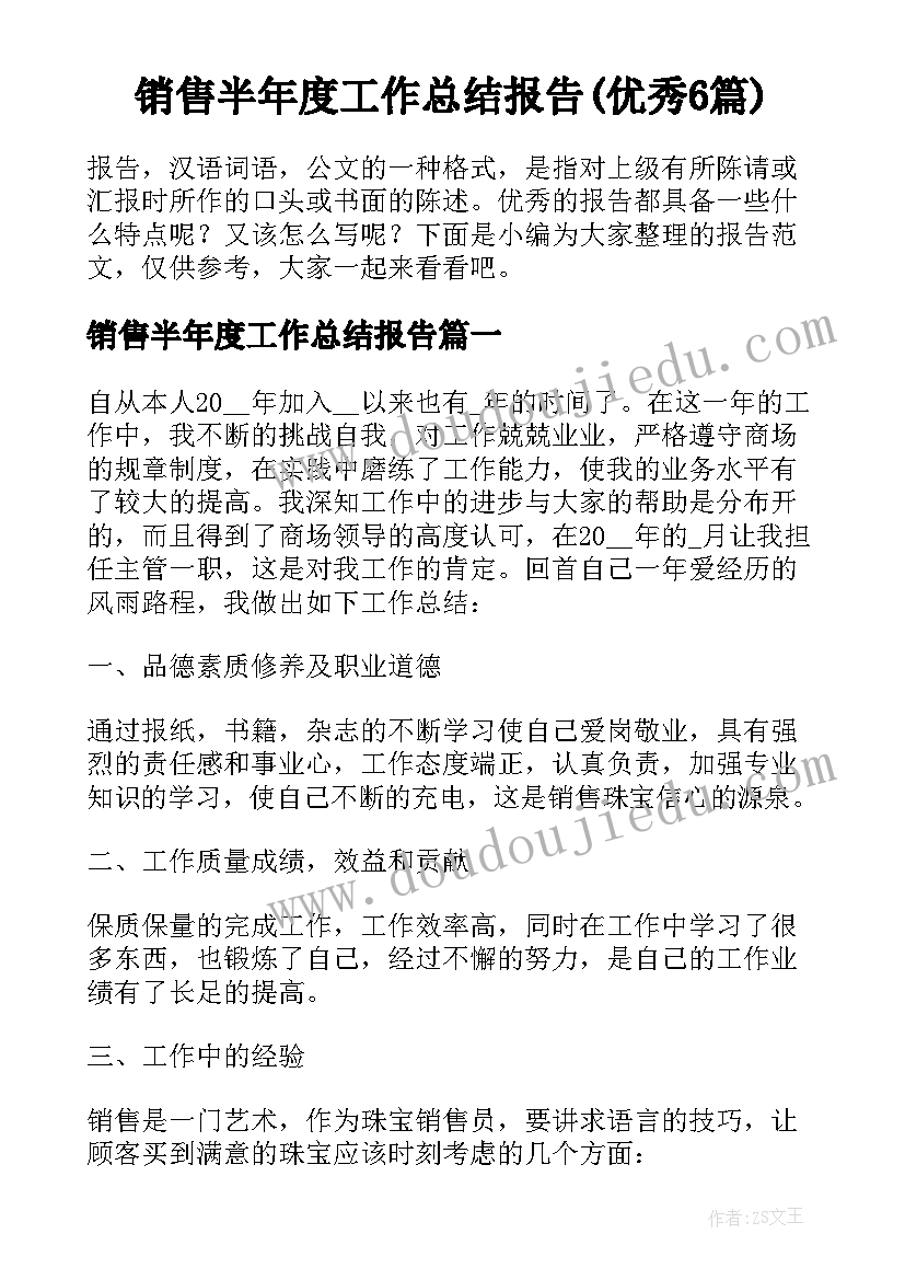 销售半年度工作总结报告(优秀6篇)