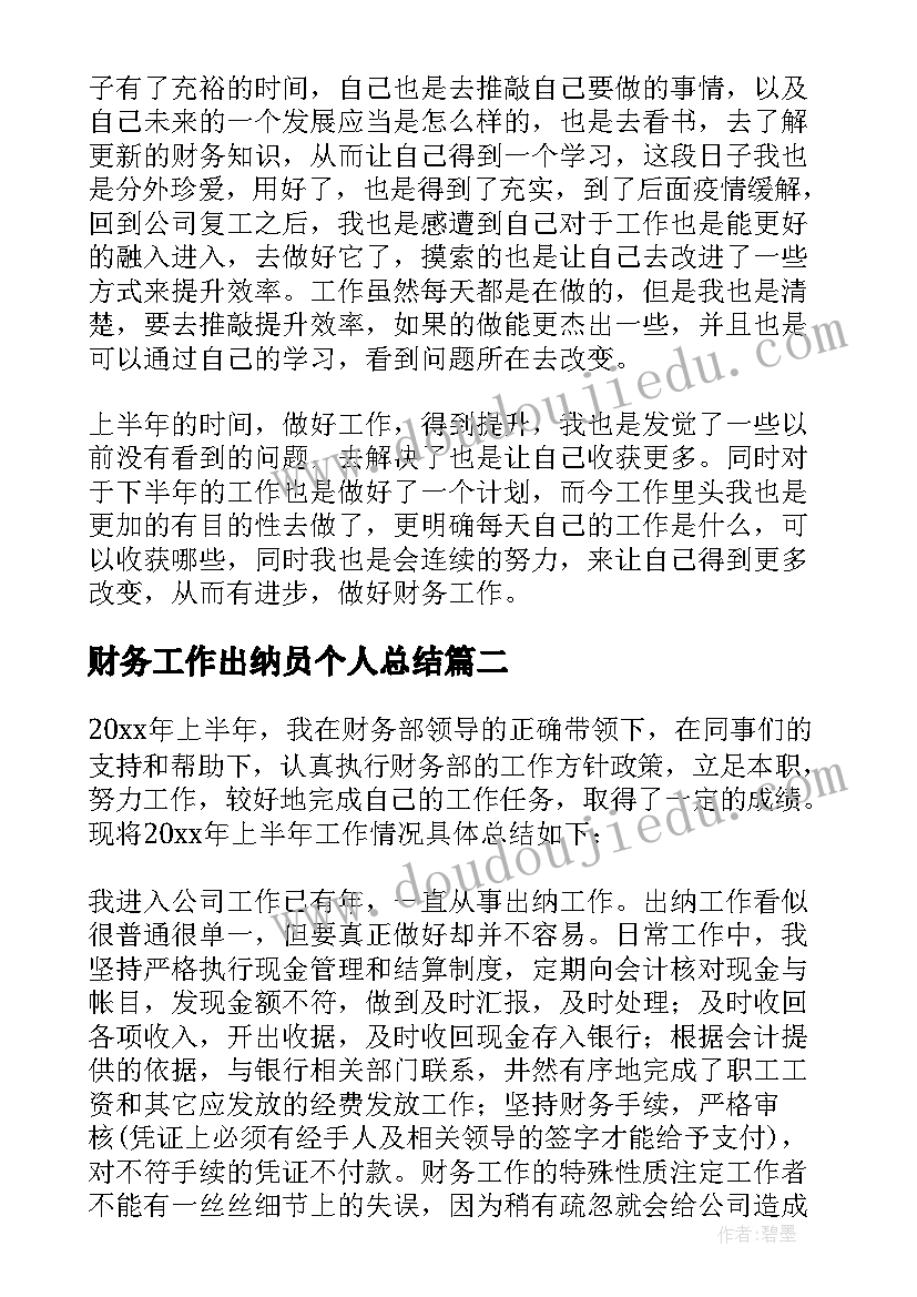 2023年财务工作出纳员个人总结(优秀9篇)