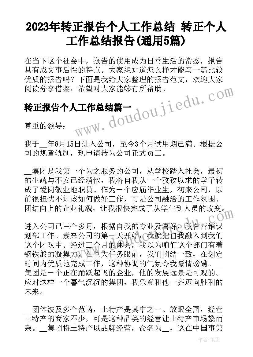 2023年转正报告个人工作总结 转正个人工作总结报告(通用5篇)