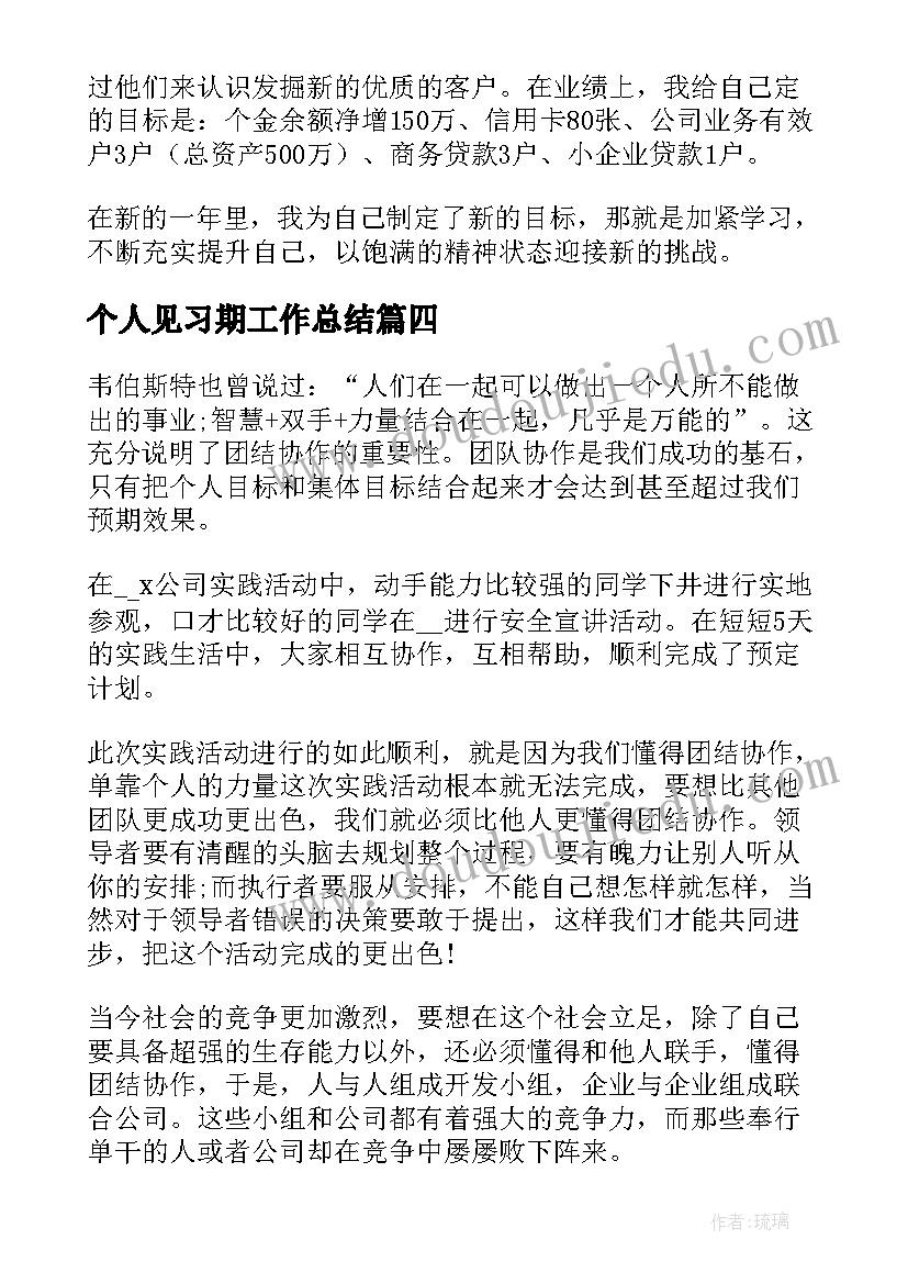 2023年个人见习期工作总结(实用9篇)