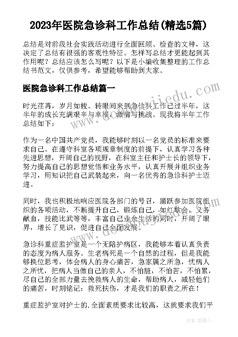 2023年医院急诊科工作总结(精选5篇)