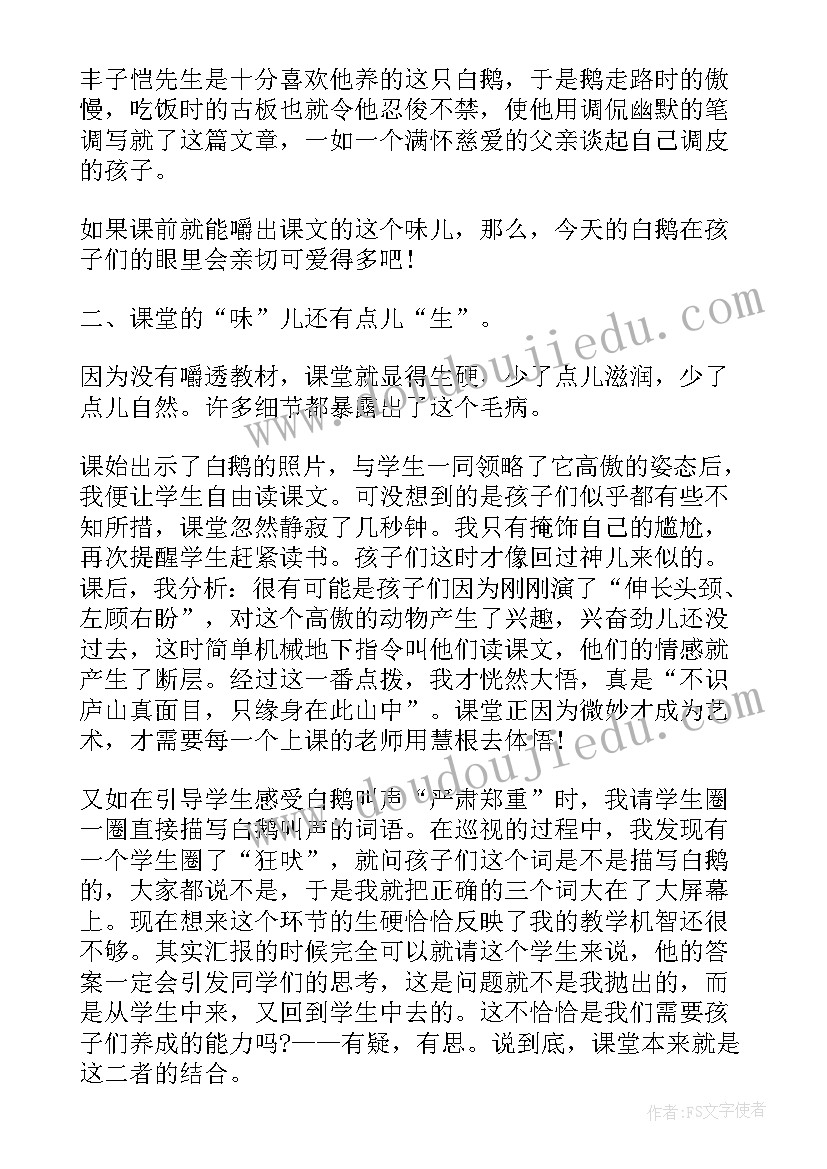 四年级语文母鸡教学反思 四年级语文课文白鹅教学反思及说讲稿(通用5篇)