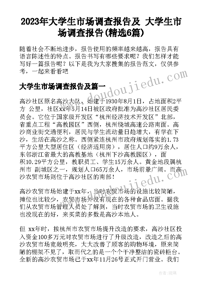 2023年大学生市场调查报告及 大学生市场调查报告(精选6篇)