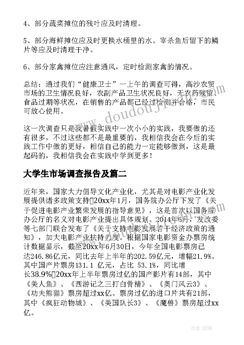 2023年大学生市场调查报告及 大学生市场调查报告(精选6篇)