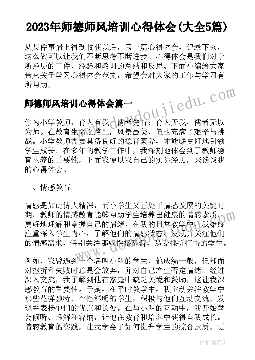 2023年师德师风培训心得体会(大全5篇)