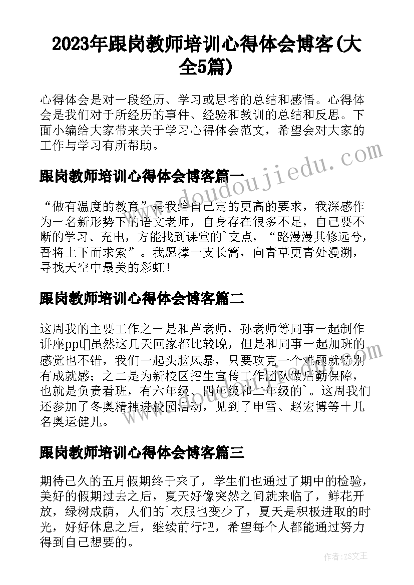 2023年跟岗教师培训心得体会博客(大全5篇)