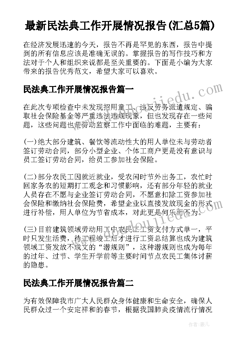 最新民法典工作开展情况报告(汇总5篇)