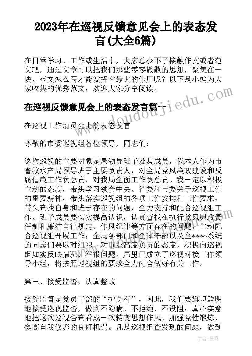 2023年在巡视反馈意见会上的表态发言(大全6篇)