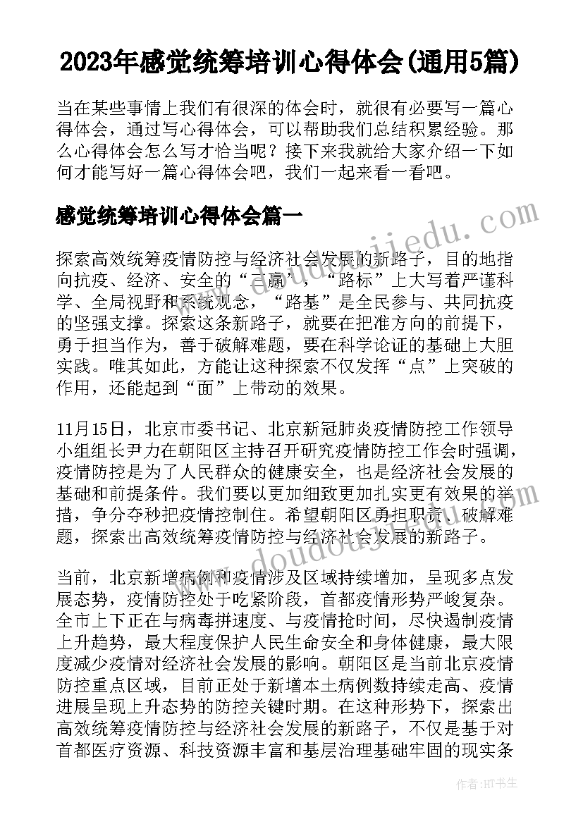 2023年感觉统筹培训心得体会(通用5篇)