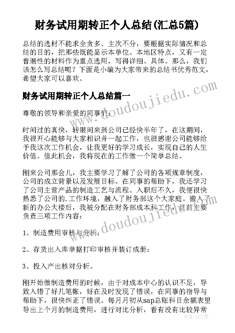 财务试用期转正个人总结(汇总5篇)