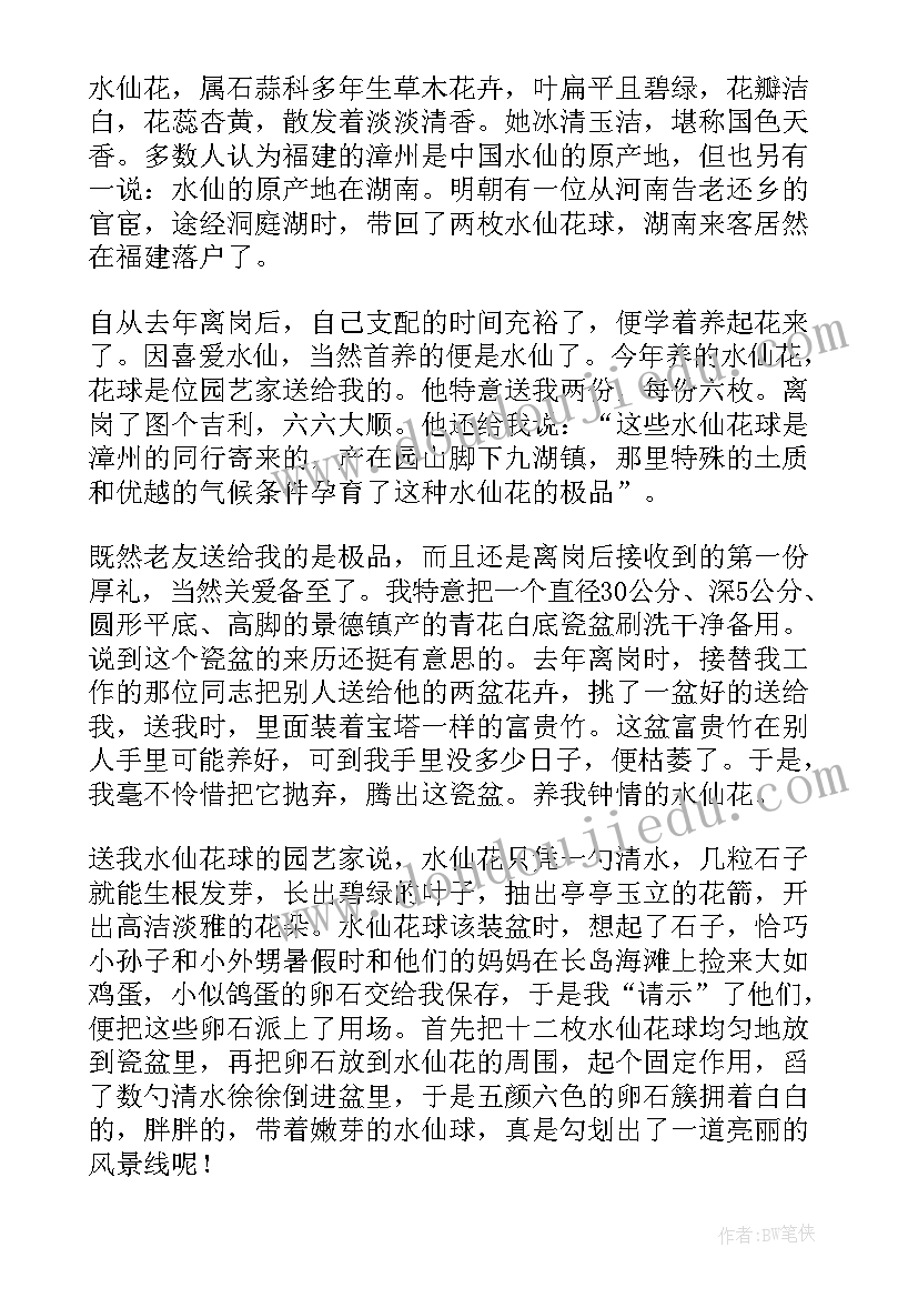 2023年水仙花的散文(通用5篇)