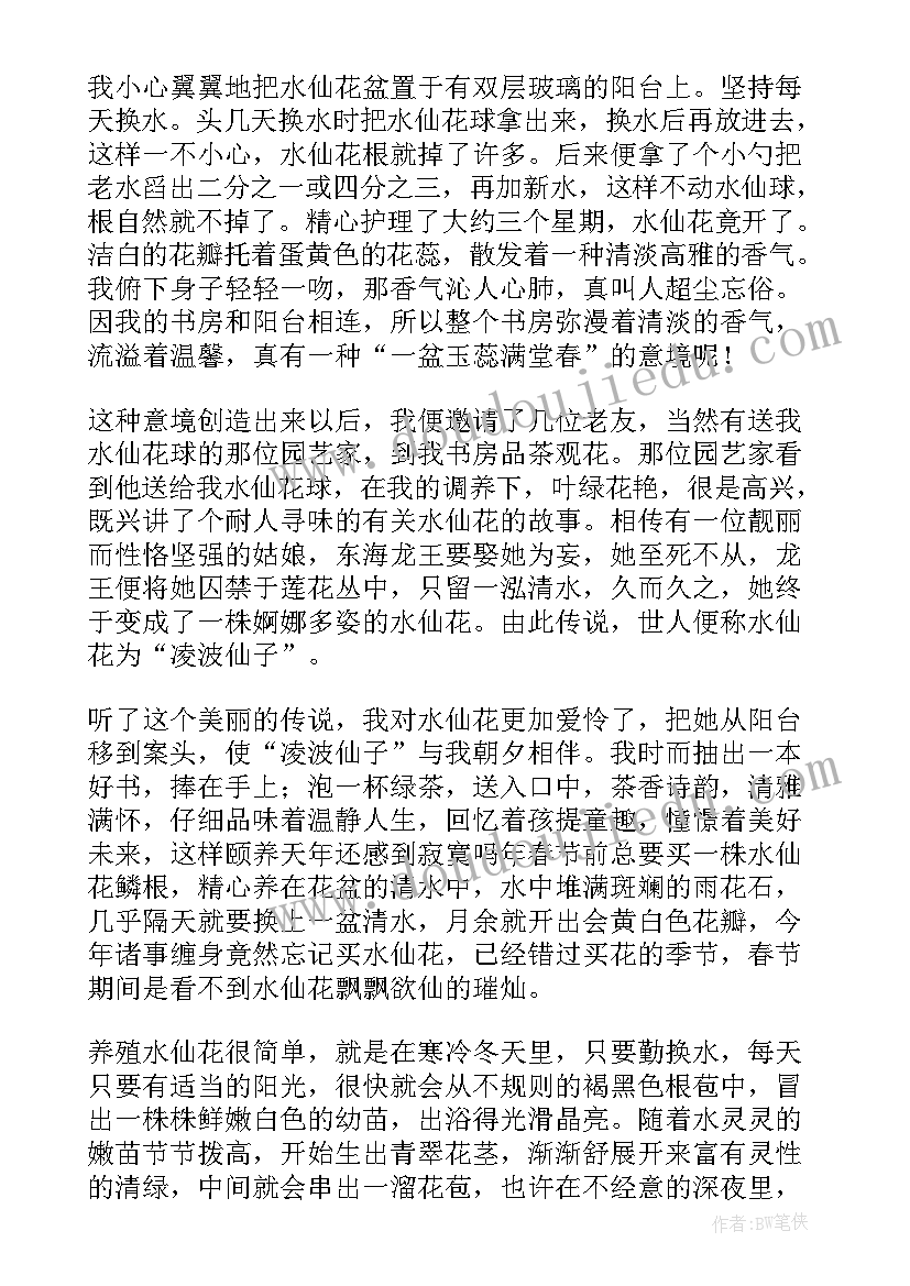 2023年水仙花的散文(通用5篇)