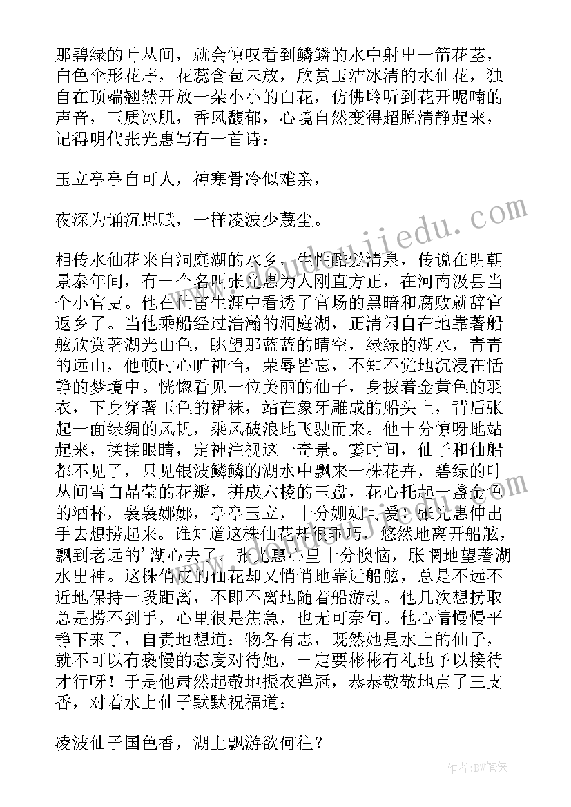 2023年水仙花的散文(通用5篇)