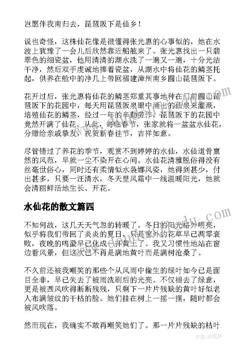 2023年水仙花的散文(通用5篇)