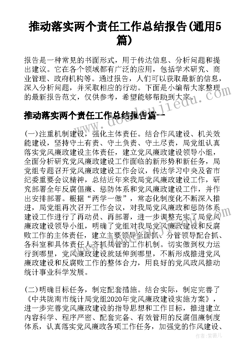 推动落实两个责任工作总结报告(通用5篇)