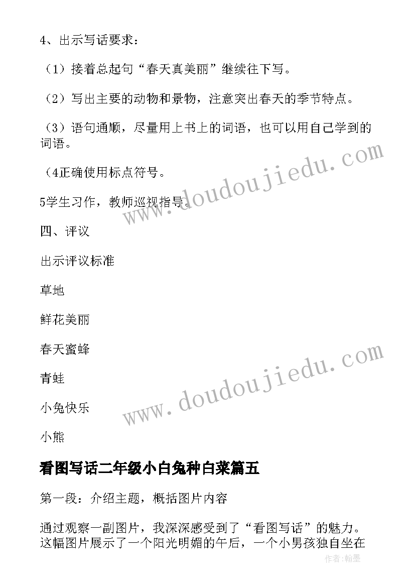 最新看图写话二年级小白兔种白菜 看图写话心得体会体会(汇总7篇)