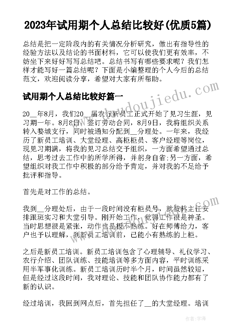 2023年试用期个人总结比较好(优质5篇)