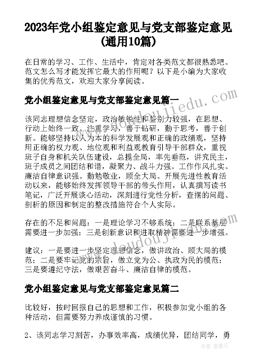 2023年党小组鉴定意见与党支部鉴定意见(通用10篇)