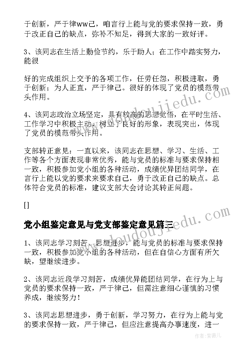 2023年党小组鉴定意见与党支部鉴定意见(通用10篇)