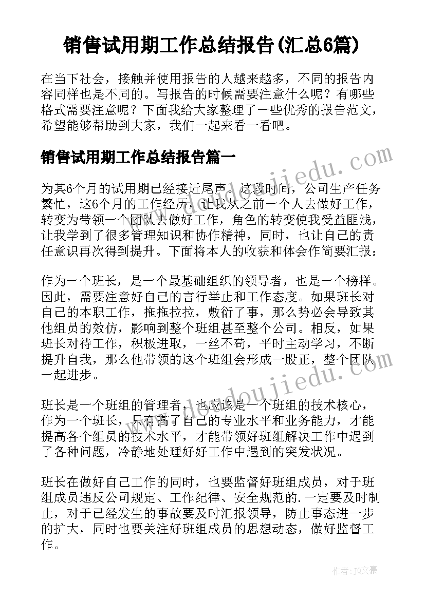 销售试用期工作总结报告(汇总6篇)