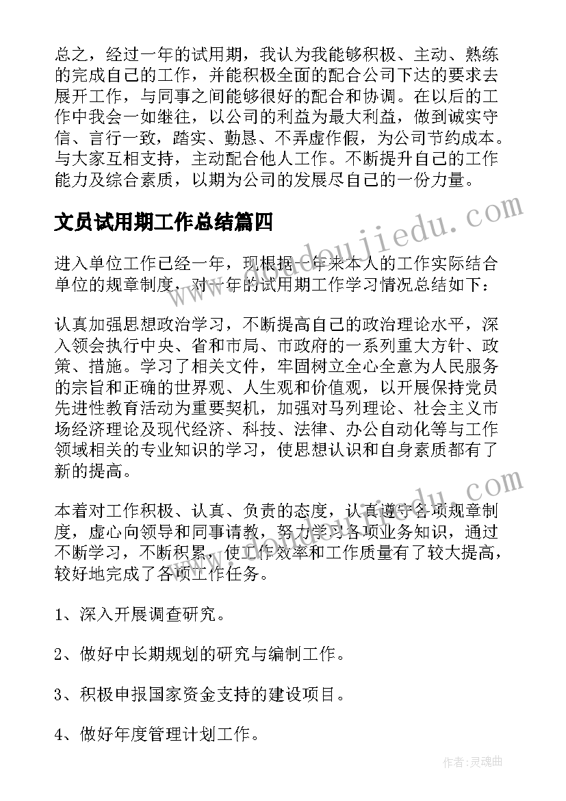 2023年文员试用期工作总结(实用10篇)