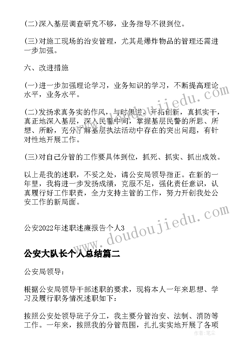 2023年公安大队长个人总结(精选5篇)