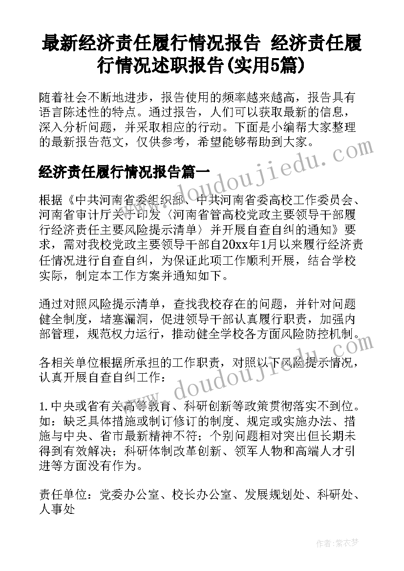 最新经济责任履行情况报告 经济责任履行情况述职报告(实用5篇)