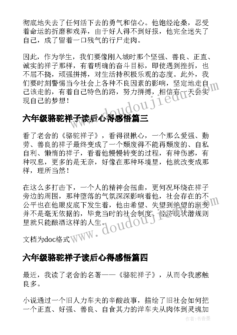 2023年六年级骆驼祥子读后心得感悟(模板5篇)