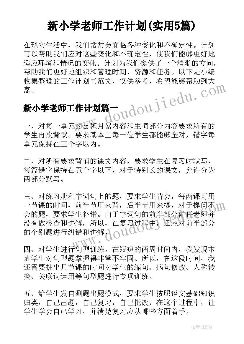 新小学老师工作计划(实用5篇)