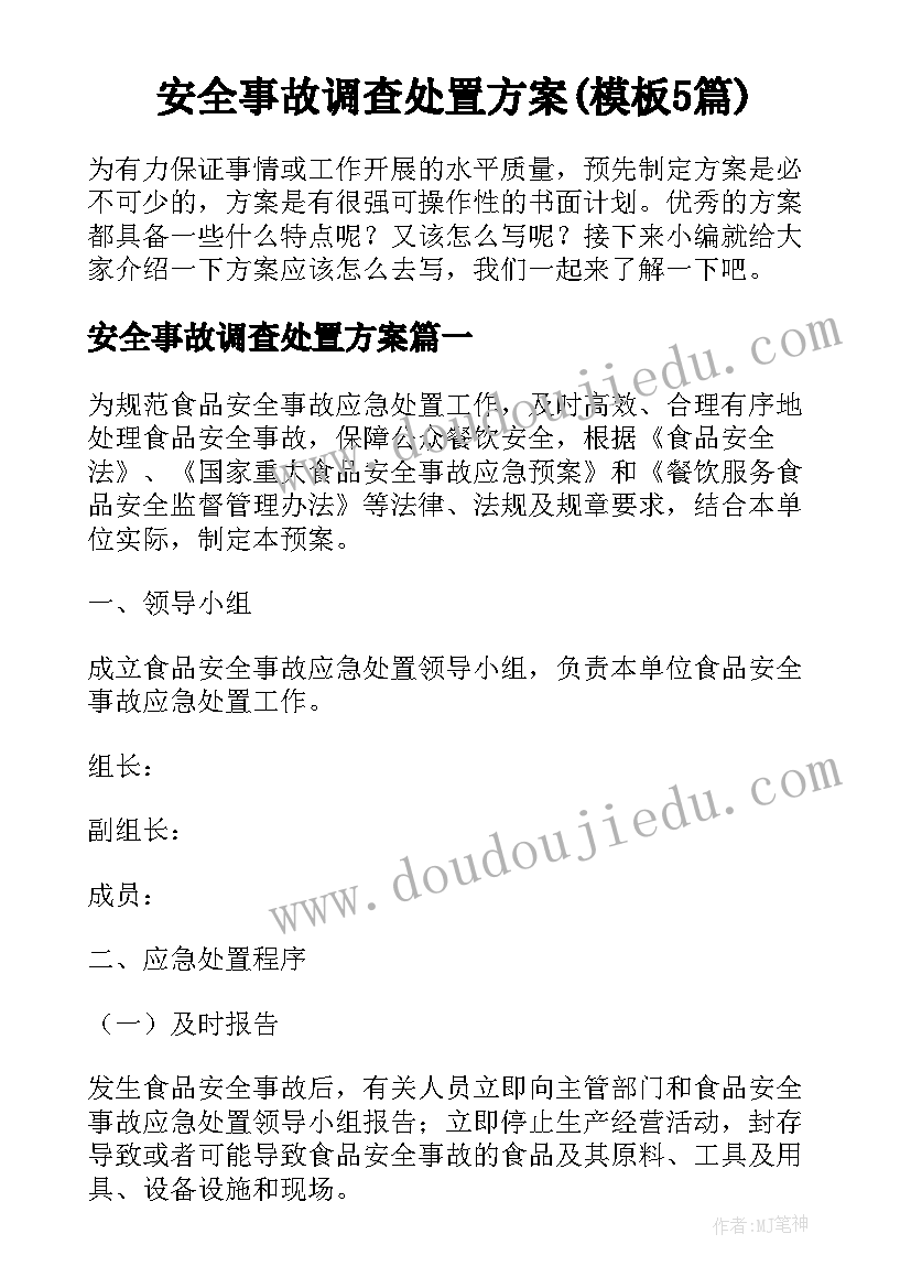 安全事故调查处置方案(模板5篇)