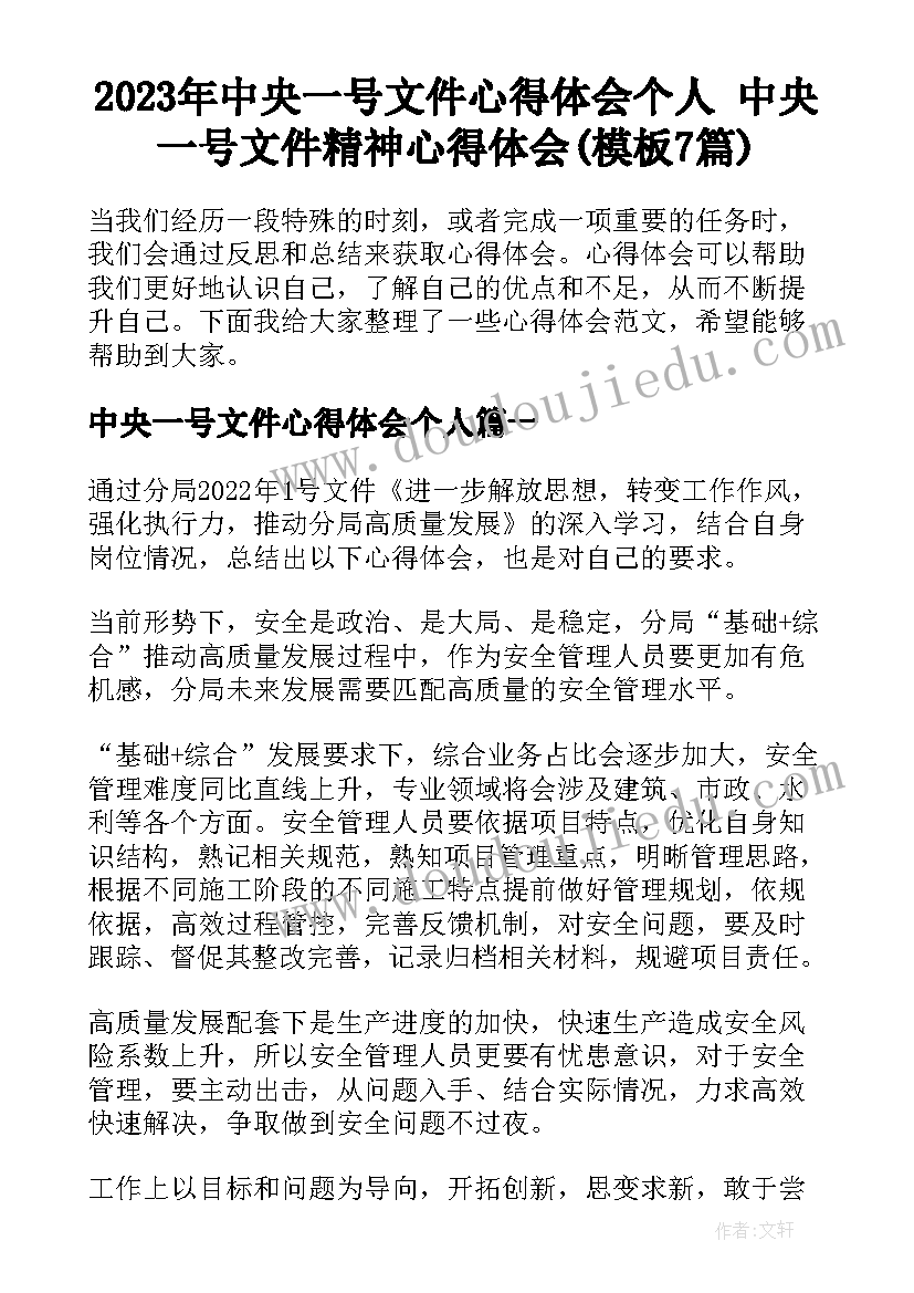 2023年中央一号文件心得体会个人 中央一号文件精神心得体会(模板7篇)